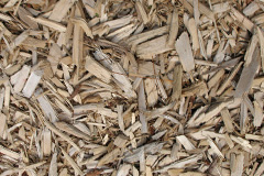 biomass boilers Haine